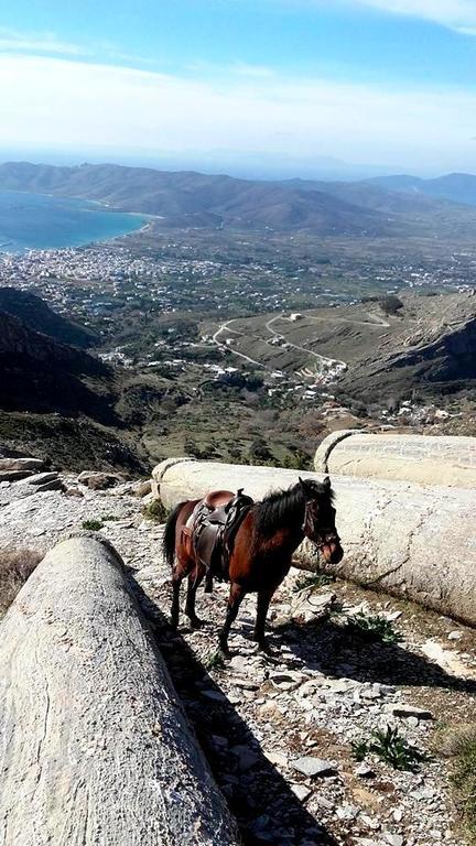 Makronas Apartments Karystos  Luaran gambar