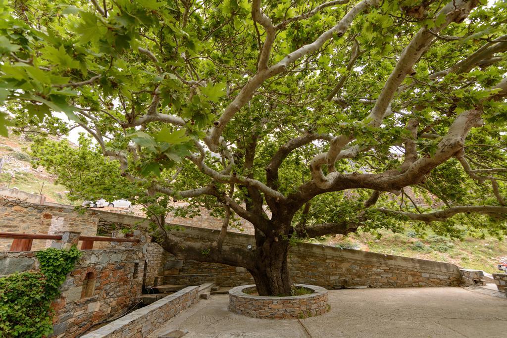 Makronas Apartments Karystos  Luaran gambar