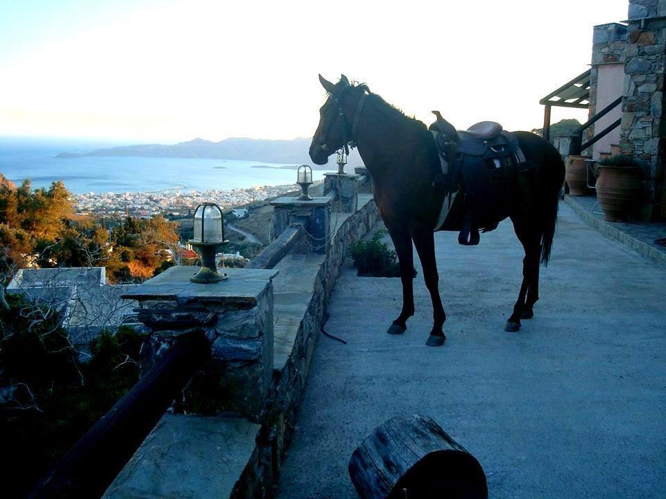 Makronas Apartments Karystos  Luaran gambar